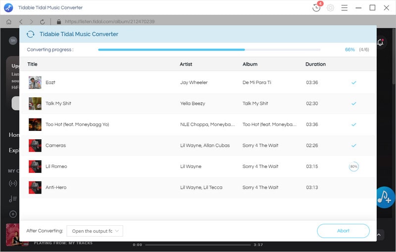 succesfully convert tidal music for free