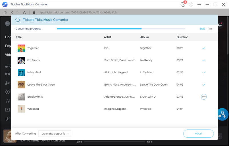 process of Tidal music conversion