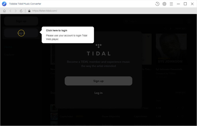 log in tidal account and access tidal web player