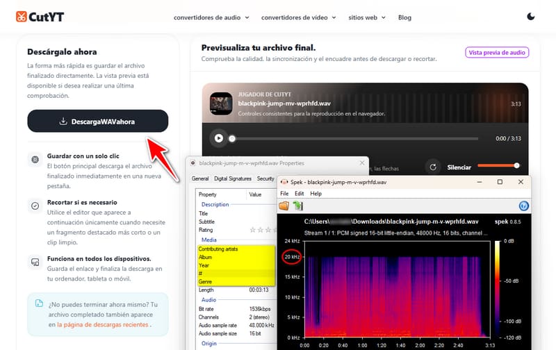 cutyt youtube to wav converter