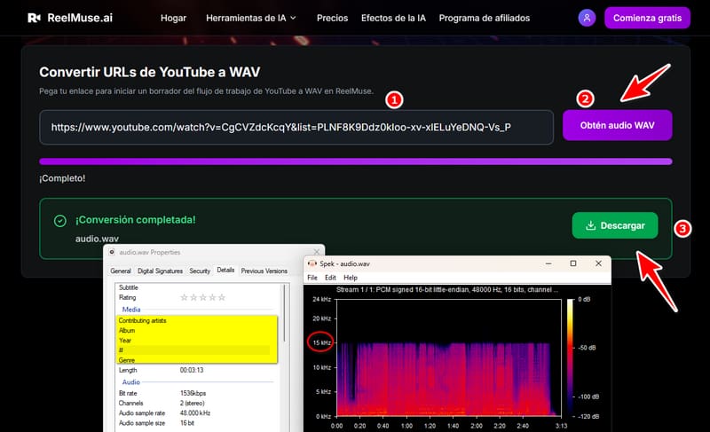 reelmuse youtube to wav converter