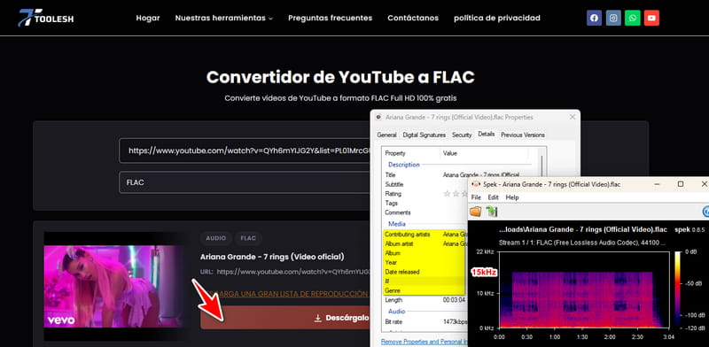toolesh conversor de youtube a flac