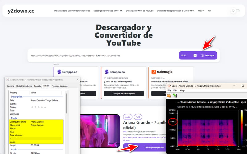 y2down conversor de youtube a flac