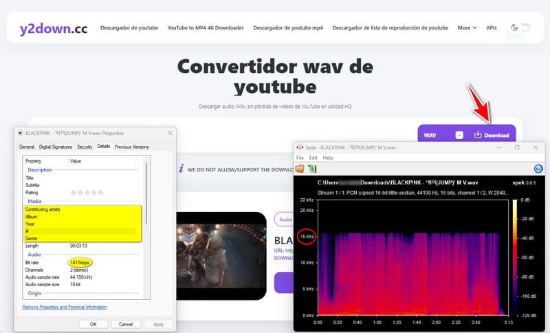 y2downcc conversor de youtube a wav