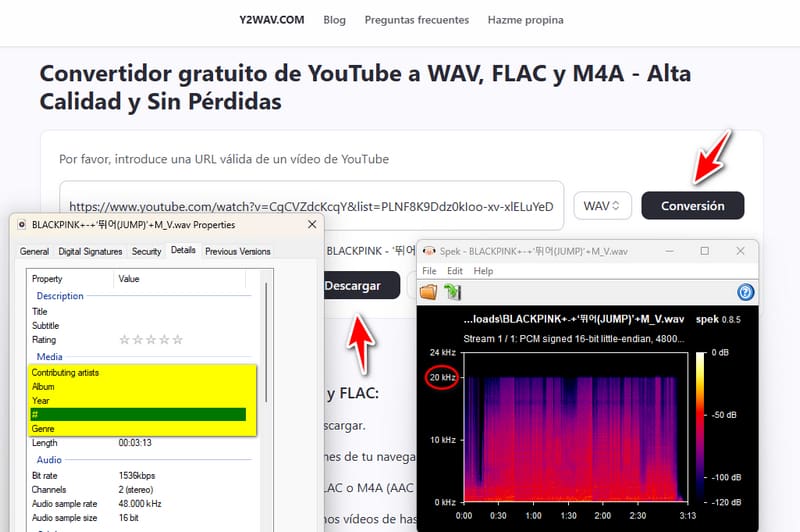 y2wav youtube to wav converter
