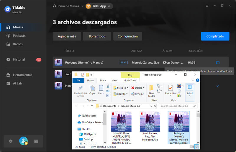 descargas de música flac