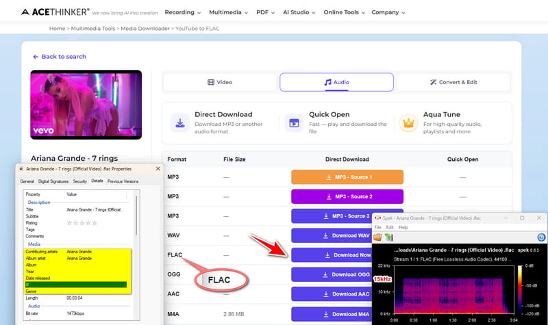acethinker youtube to flac converter