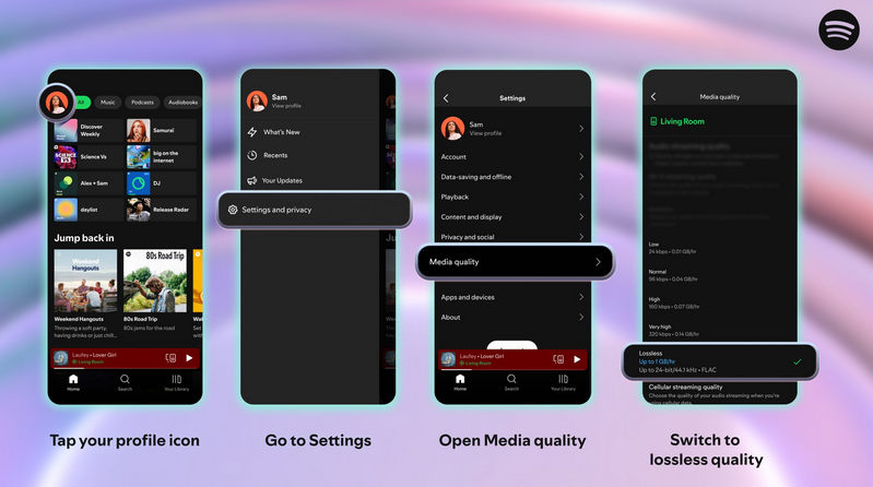 enable spotify lossless audio quality