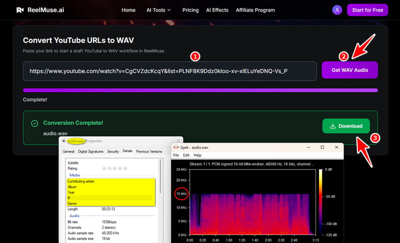 reelmuse youtube to wav converter