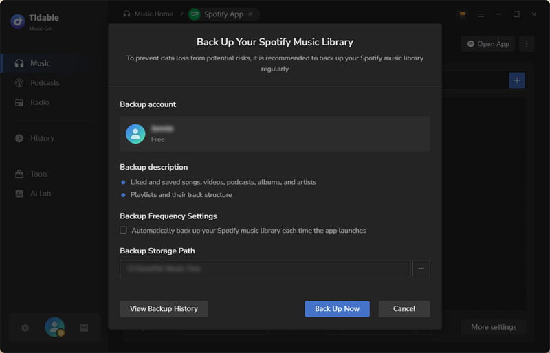 backup spotify music library