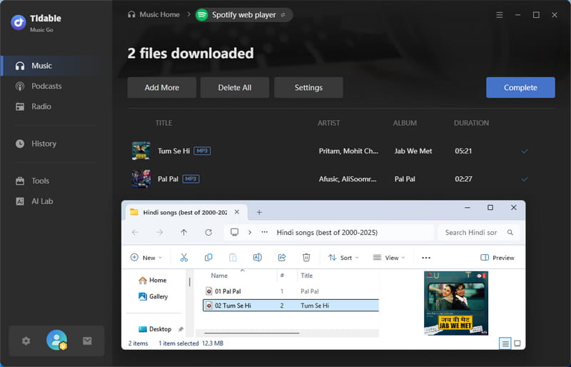 downloaded hindi songs