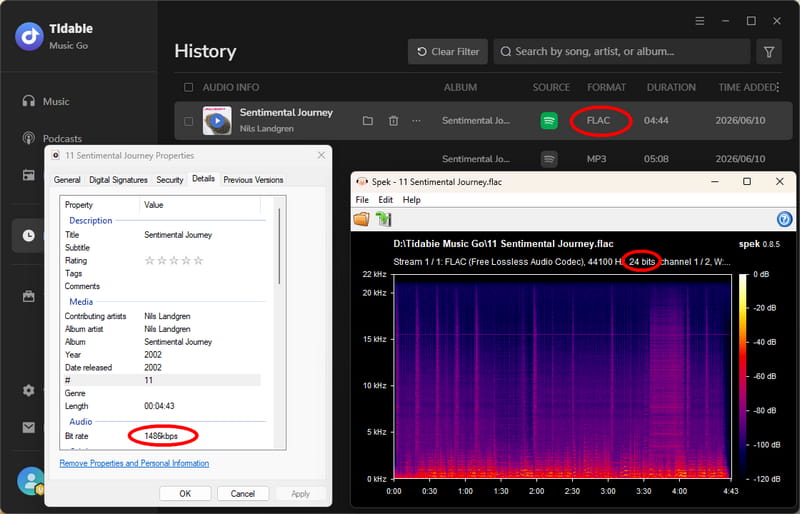 spotify lossless download