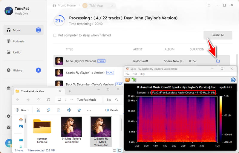 tunepat converted tidal music