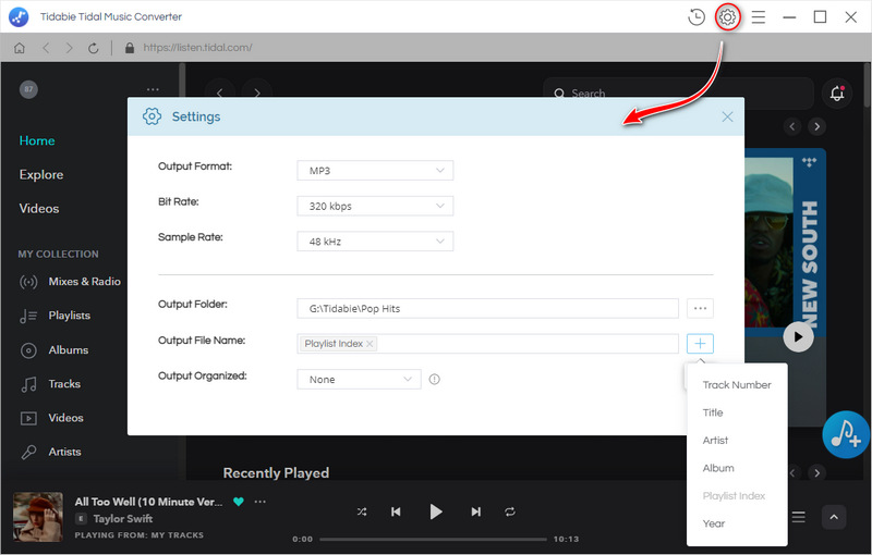 set up tidal music output format